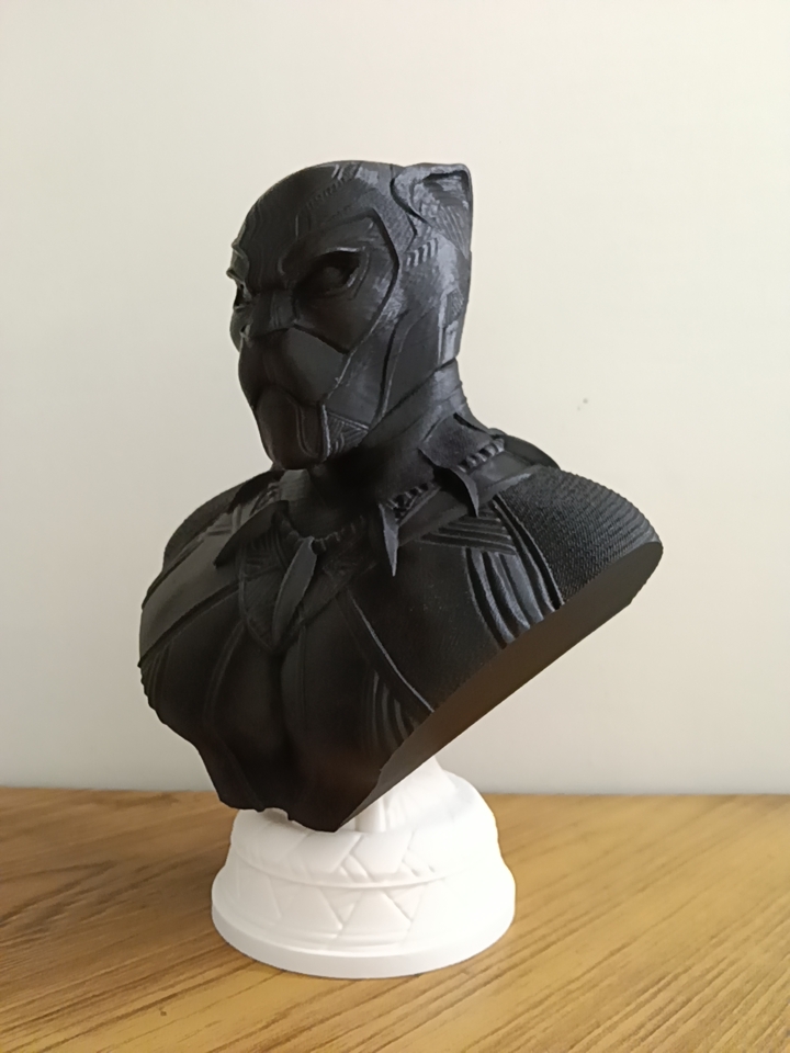 Black Panther Model